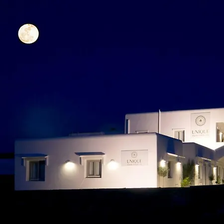 Mykonos Unique Daire Mykonos Town